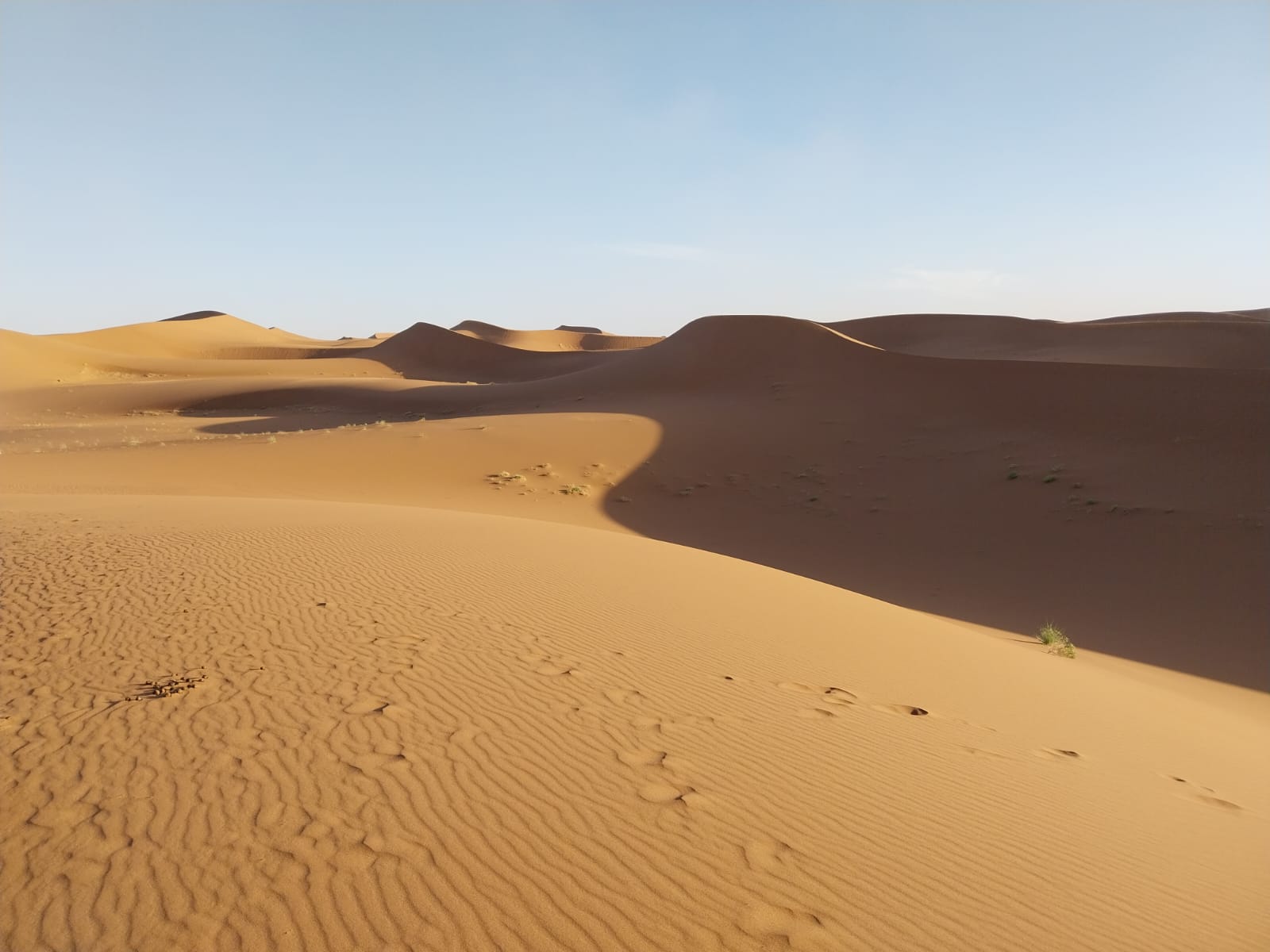 Dunes Dorées du Sahara